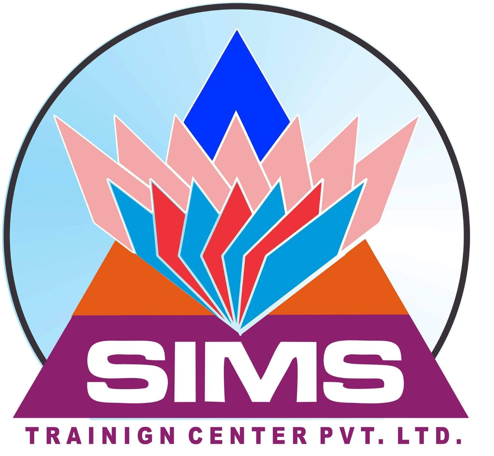 SIMS Logo